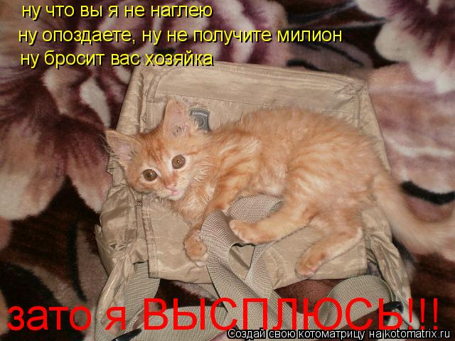 Котоматрица: ну что вы я не наглею ну опоздаете, ну не получите милион  ну бросит вас хозяйка  зато я ВЫСПЛЮСЬ!!!