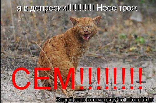 Котоматрица: я в депресии!!!!!!!!!!! Неее трож СЕМ!!!!!!!!