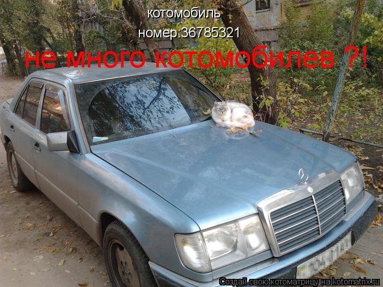 Котоматрица: котомобиль   номер:36785321 не много котомобилев ?!