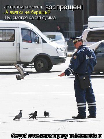 Котоматрица: -Голубям переход  воспрещён! -А взятки не берёшь? -Ну, смотря какая сумма.