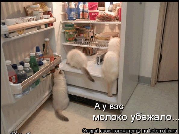 Котоматрица: А у вас  молоко убежало...