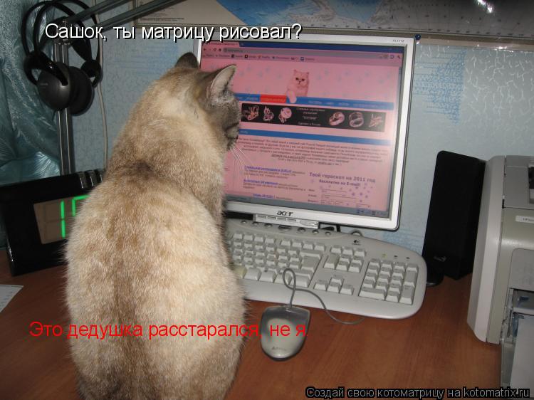 Котоматрица: Сашок, ты матрицу рисовал? Это дедушка расстарался, не я.