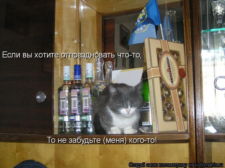 Котоматрица: Если вы хотите отпраздновать что-то, То не забудьте (меня) кого-то!