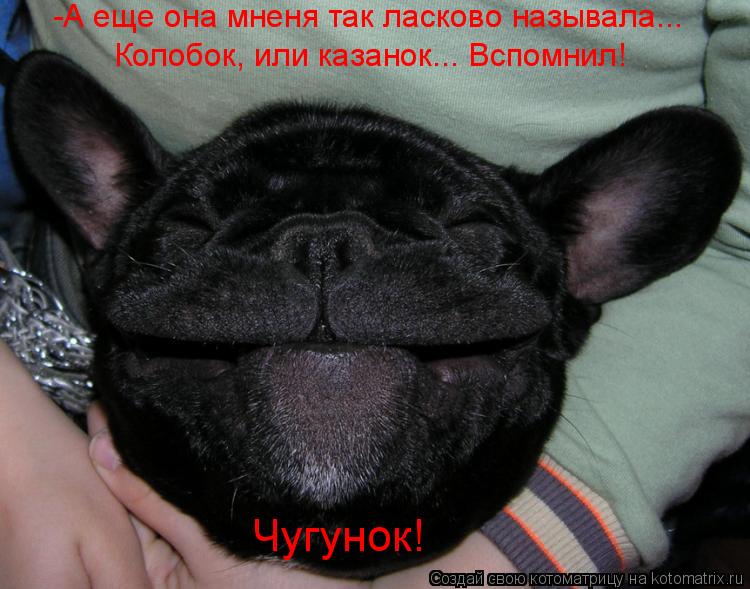 Котоматрица: -А еще она мненя так ласково называла... Колобок, или казанок... Вспомнил! Чугунок!