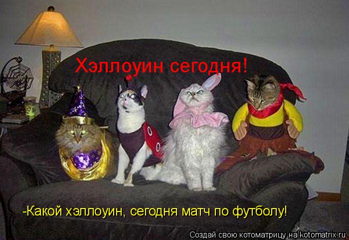 Котоматрица: Хэллоуин сегодня! -Какой хэллоуин, сегодня матч по футболу!