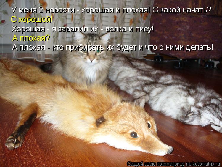 Котоматрица: У меня 2 новости - хорошая и плохая! С какой начать? С хорошой! Хорошая - я завалил их - волка и лису! А плохая? А плохая - кто прибирать их будет и