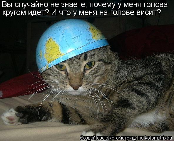 Котоматрица: Вы случайно не знаете, почему у меня голова  кругом идёт? И что у меня на голове висит?