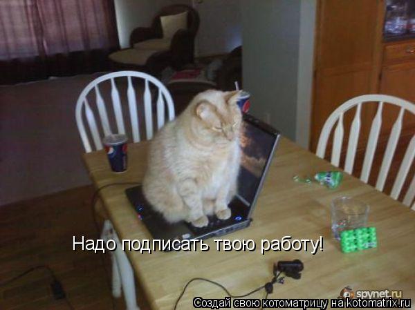 Котоматрица: Надо подписать твою работу!