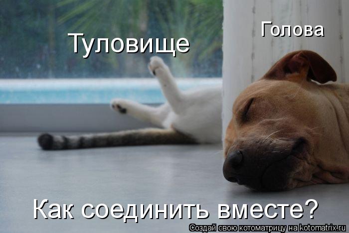 Котоматрица: Туловище Голова Как соединить вместе?