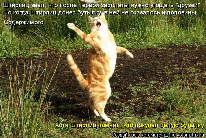 Штирлиц знал, что после первой зарплаты нужно угощать "друзей" Содержимого. Хотя Штирлиц помнил, что ... Котоматрица: Штирлиц знал, что после первой зарплаты нужно угощать "друзей" Содержимого. Хотя Штирлиц помнил, что покупал целую бутылку.... Но когда Штирл