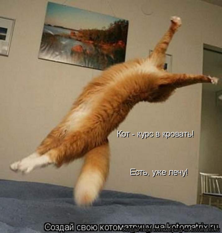 Котоматрица: Кот - курс в кровать! Есть, уже лечу!