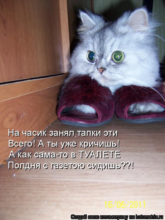 На часик занял тапки эти Всего! А ты уже кричишь! А как сама-то в ТУАЛЕТЕ Полдня с газетою сидишь??!... Котоматрица: На часик занял тапки эти Всего! А ты уже кричишь! А как сама-то в ТУАЛЕТЕ Полдня с газетою сидишь??!