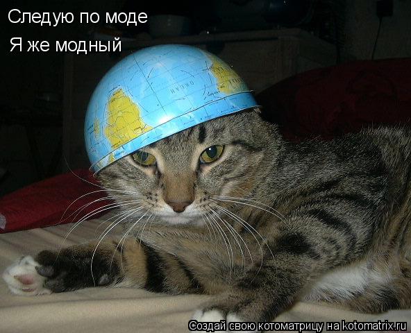 Котоматрица: Следую по моде Я же модный