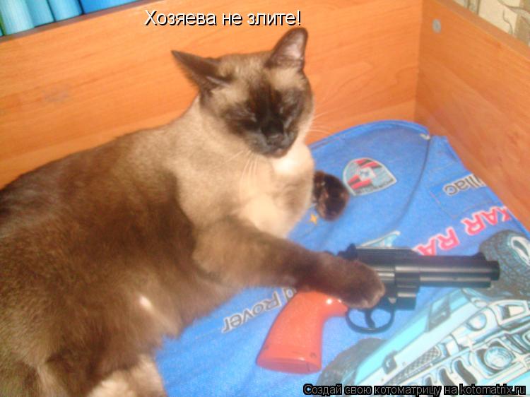 Котоматрица: Хозяева не злите!