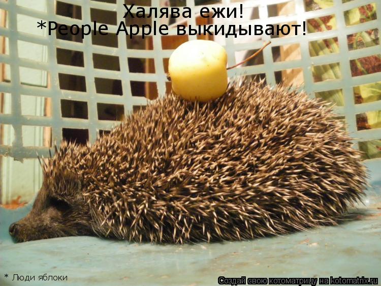 Котоматрица: Халява ежи! People Apple выкидывают! * * Люди яблоки