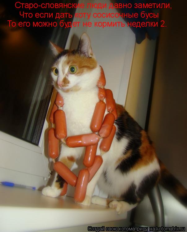 Котоматрица: Старо-словянские люди давно заметили, Что если дать коту сосисочные бусы То его можно будет не кормить неделки 2.