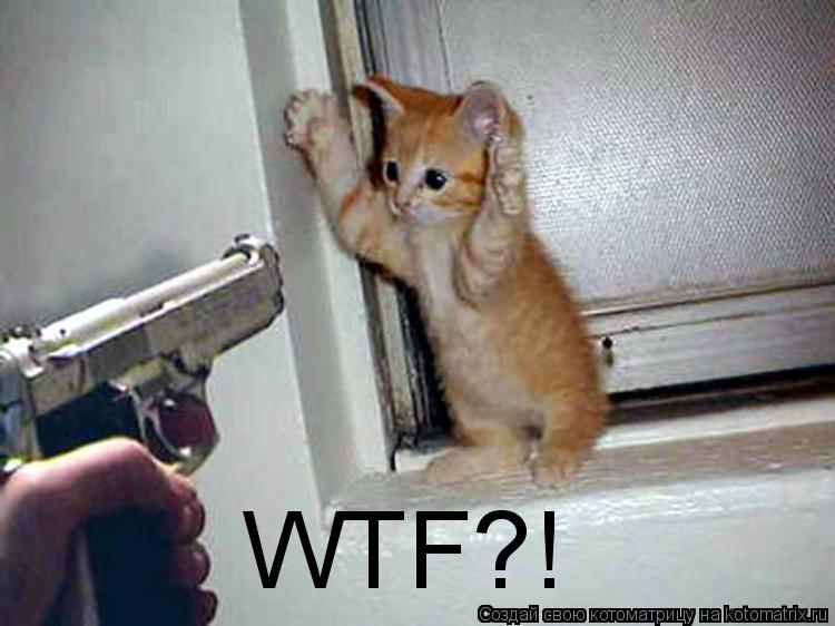 Котоматрица: WTF?!