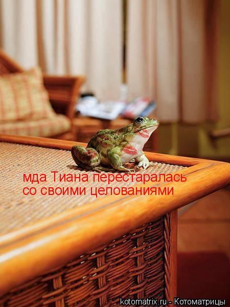 Котоматрица: мда Тиана перестаралась со своими целованиями