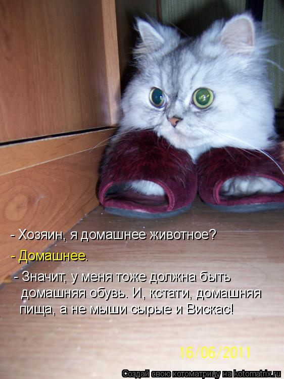 - Значит, у меня тоже должна быть домашняя обувь. И, кстати, домашняя пища, а не мыши сырые и Виска... Котоматрица: - Значит, у меня тоже должна быть домашняя обувь. И, кстати, домашняя пища, а не мыши сырые и Вискас! - Хозяин, я домашнее животное? - Домашнее.