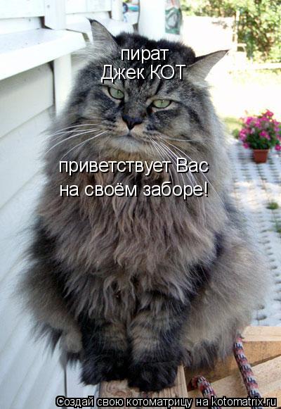 Котоматрица: приветствует Вас на своём заборе! Джек КОТ пират