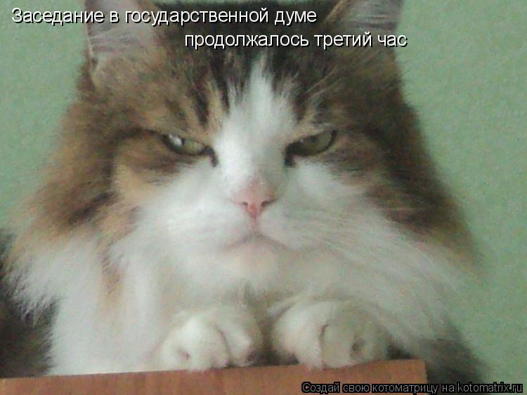 Котоматрица: Заседание в государственной думе продолжалось третий Заседание в государственной думе продолжалось третий час