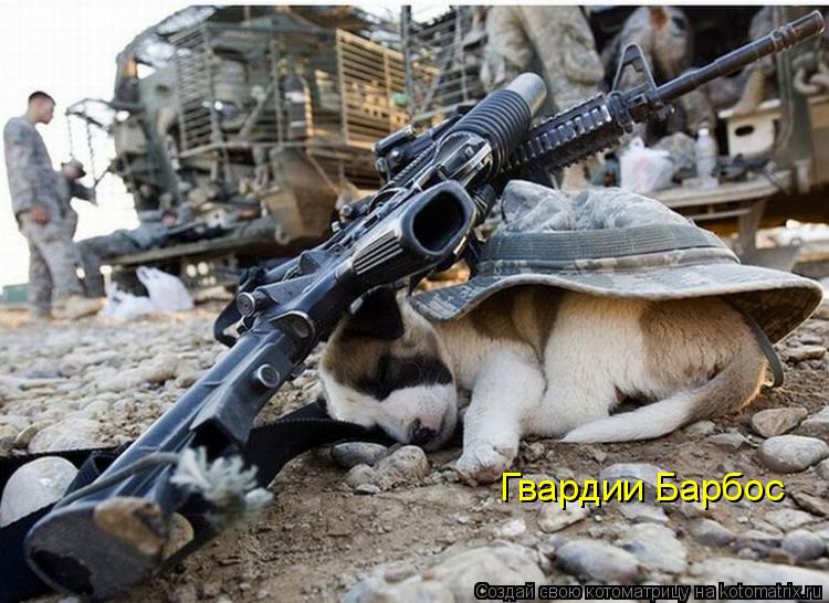 Котоматрица: Гвардии Барбос