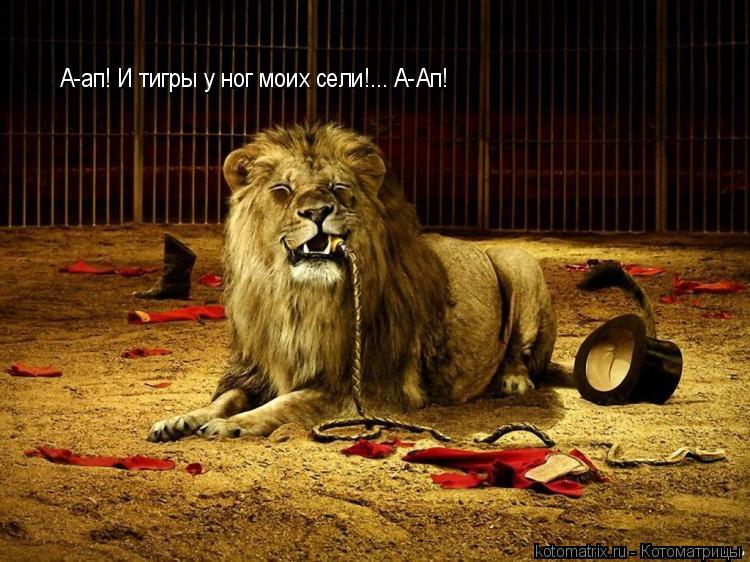 Котоматрица: А-ап! И тигры у ног моих сели!... А-Ап!