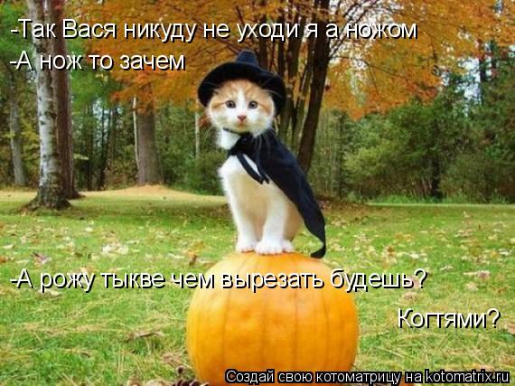 Котоматрица: -Так Вася никуду не уходи я а ножом -А нож то зачем -А рожу тыкве чем вырезать будешь?  Когтями?