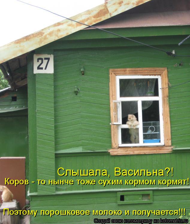 Слышала, Васильна?! Коров - то нынче тоже сухим кормом кормят! Поэтому порошковое молоко и получается... Котоматрица: Слышала, Васильна?! Коров - то нынче тоже сухим кормом кормят! Поэтому порошковое молоко и получается!!!