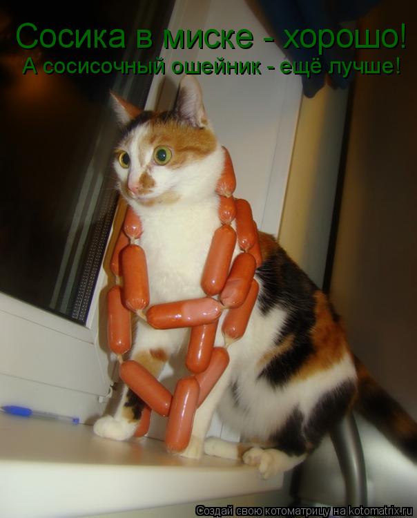 Котоматрица: Сосика в миске - хорошо! Сосика в миске - хорошо! А сосисочный ошейник - ещё лучше!