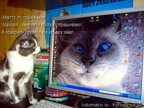 Котоматрица: -Маттт-тт-тушка моя... А говорил- прЫнц, на крышу звал... Хорошо - вначале фотку спрашиваю!