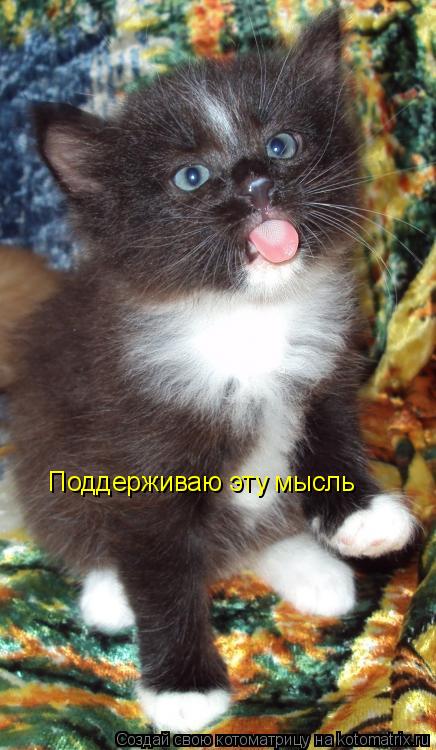 Котоматрица: Поддерживаю эту мысль