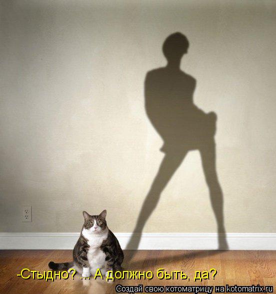 Котоматрица: -Стыдно? ... А должно быть, да?