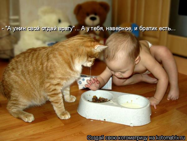 Котоматрица: - "А ужин свой отдай врагу"... А у тебя, наверное, и братик есть...