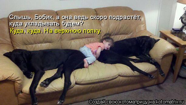 Человек собаке друг!!!