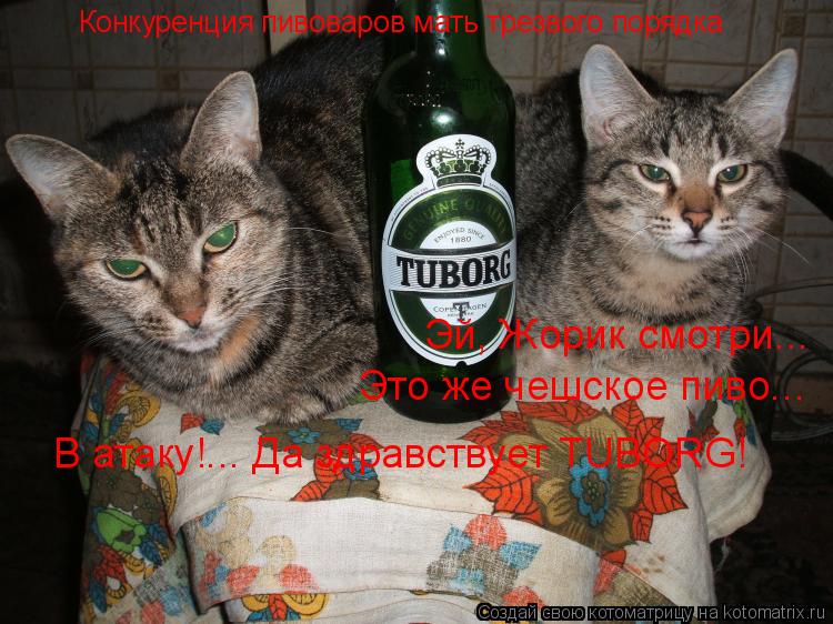 Котоматрица: Конкуренция пивоваров мать трезвого порядка Эй, Жорик смотри... Это же чешское пиво... В атаку!... Да здравствует TUBORG!
