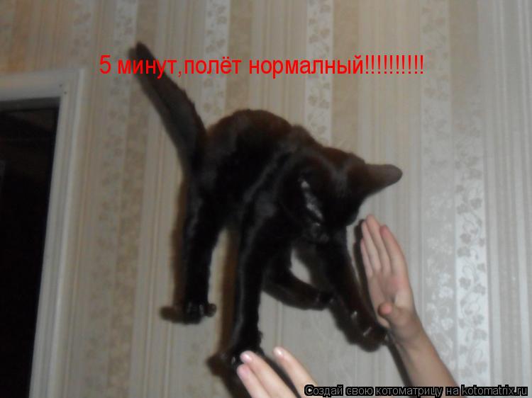 Котоматрица: 5 минут,полёт нормалный!!!!!!!!!!