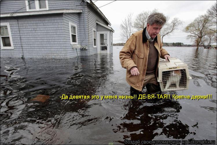 Котоматрица: -Да девятая это у меня жизнь!! ДЕ-ВЯ-ТАЯ!! Крепче держи!!!