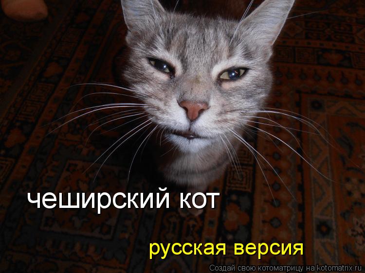 Котоматрица: чеширский кот русская версия