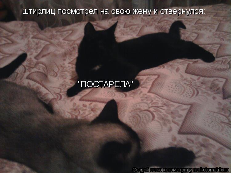 Котоматрица: штирлиц посмотрел на свою жену и отвернулся: "ПОСТАРЕЛА"