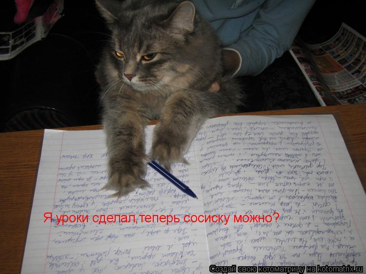 Котоматрица: Я уроки сделал,теперь сосиску можно?