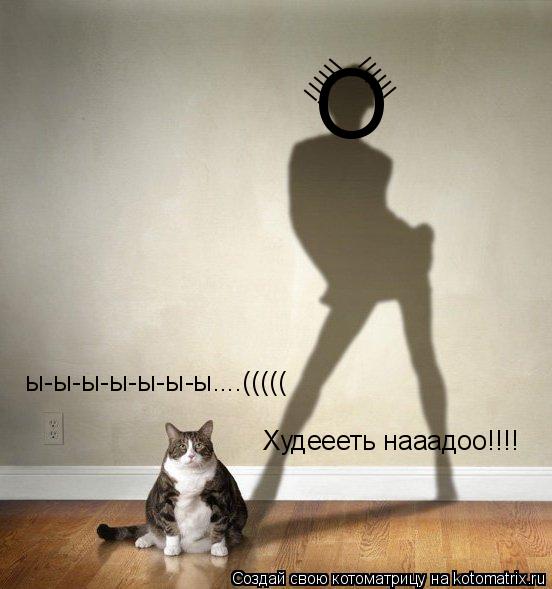 Котоматрица: ы-ы-ы-ы-ы-ы-ы....((((( Худеееть нааадоо!!!! О !!!!!! !!!!!!