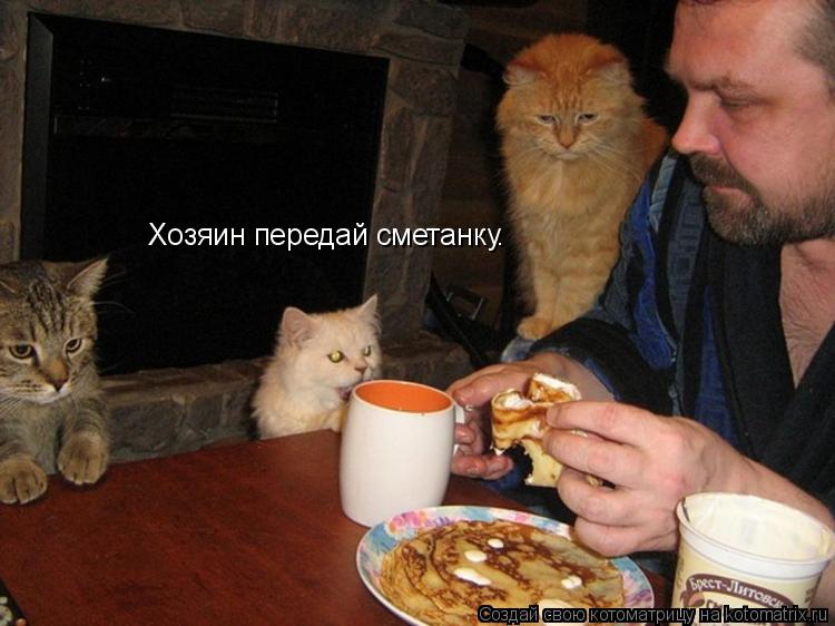 Котоматрица: Хозяин передай сметанку.