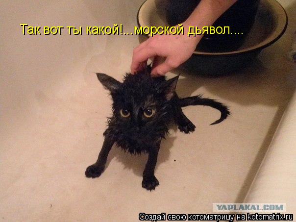Котоматрица: Так вот ты какой!...морской дьявол....