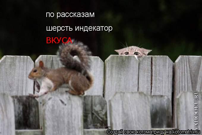 Котоматрица: по рассказам шерсть индекатор ВКУСА