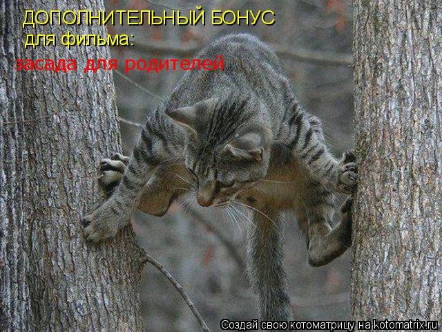 Котоматрица: ДОПОЛНИТЕЛЬНЫЙ БОНУС для фильма: засада для родителей