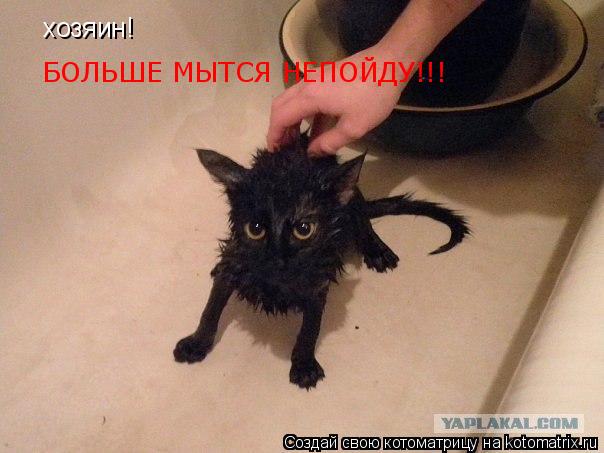 Котоматрица: хозяин! БОЛЬШЕ МЫТСЯ НЕПОЙДУ!!!