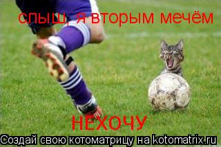 Котоматрица: слыш, я вторым мечём НЕХОЧУ