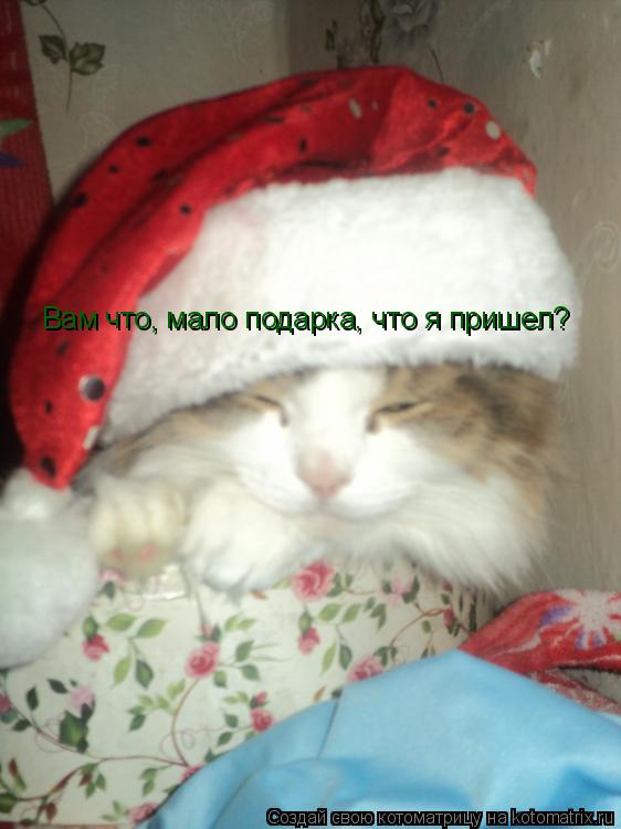 Котоматрица: Вам что, мало подарка, что я пришел?