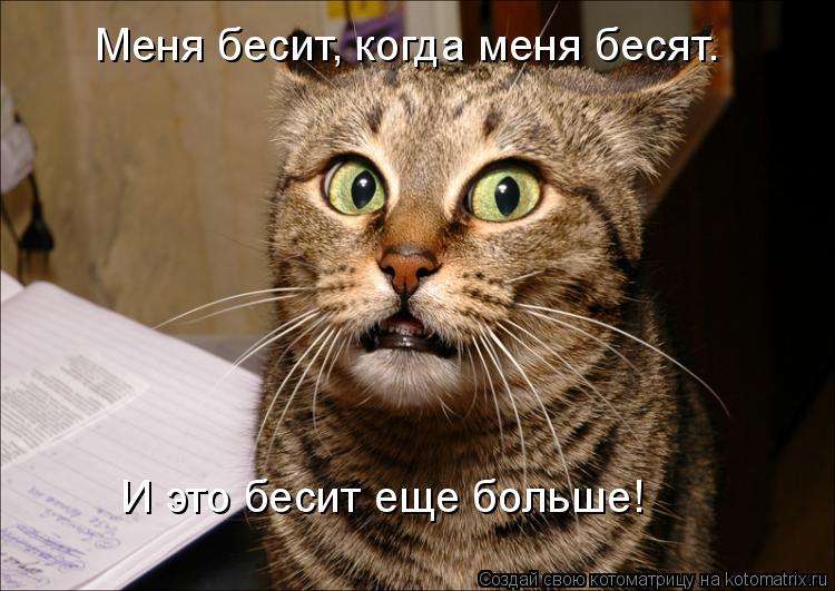 Меня бесит, когда меня бесят. И это бесит еще больше!... Котоматрица: Меня бесит, когда меня бесят. И это бесит еще больше!